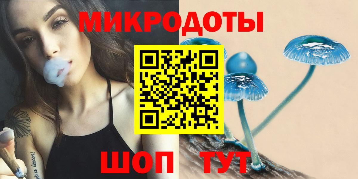 Тихвин  Галлюциногенные грибы прущие грибы  Вход с VPN 