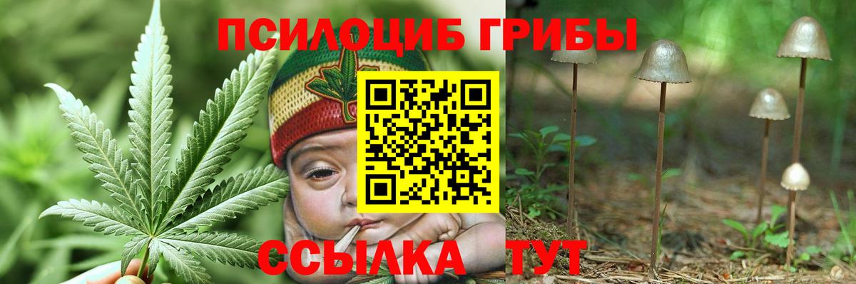 Галлюциногенные грибы прущие грибы Тихвин